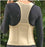 Original Cincher Back Support