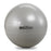 TheraBand PRO Series SCP Exercise Balls