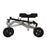 Knee Walker Metallic Silver