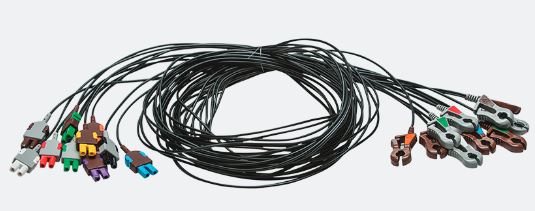 Leads