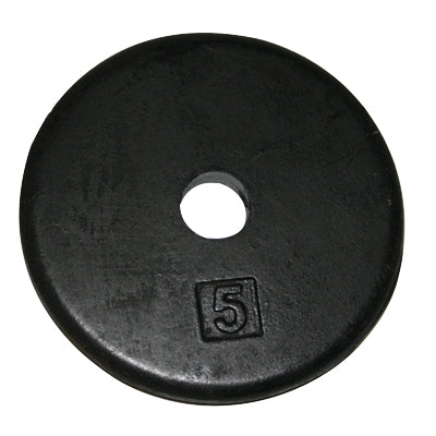 FEI Iron Disc Weight Plate - 1.25 lb