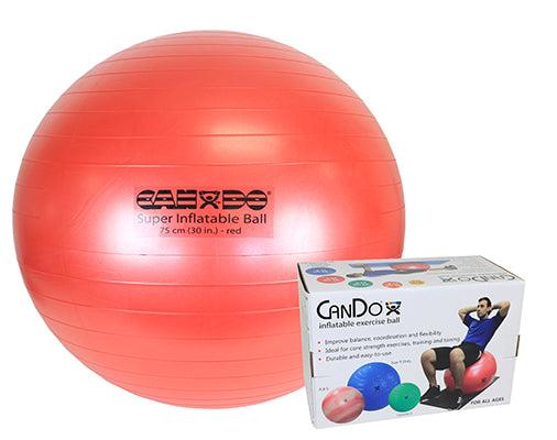 Exercise Ball