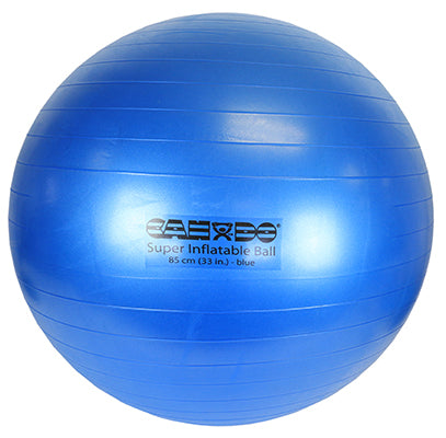 Exercise Ball