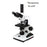 Unico 100X Achromat Objective For Microscope Ea