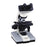 Accu-Scope Binocular Microscope 4/ 10/ 40/ 100XR/ Oil Objective Ea