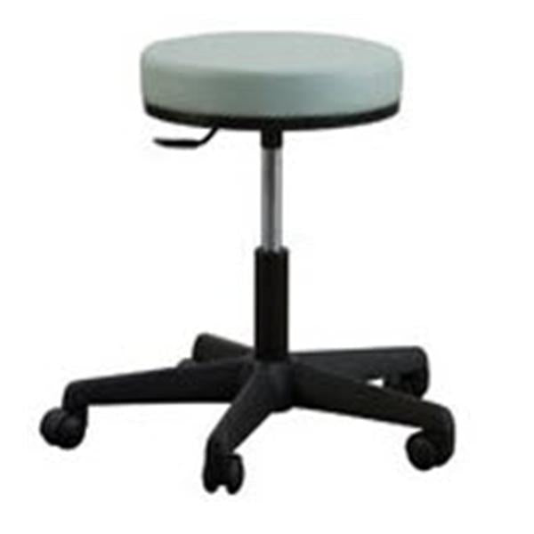 Oakworks Stool Exam Premium Stone 5 Leg/Casters Backless Ea