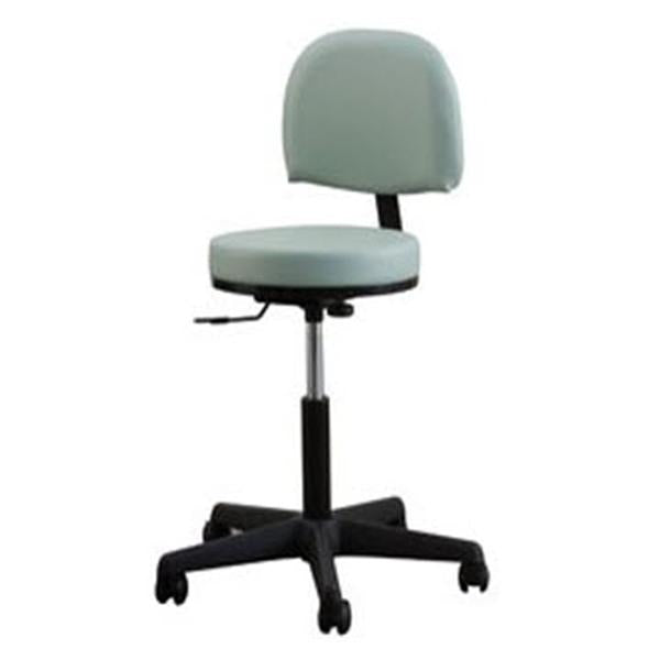 Oakworks Stool Exam Premium Stone 5 Leg/Casters Low Padded Backrest Ea