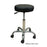 Oakworks Stool Exam Premium 5 Leg/Casters Backless Ea