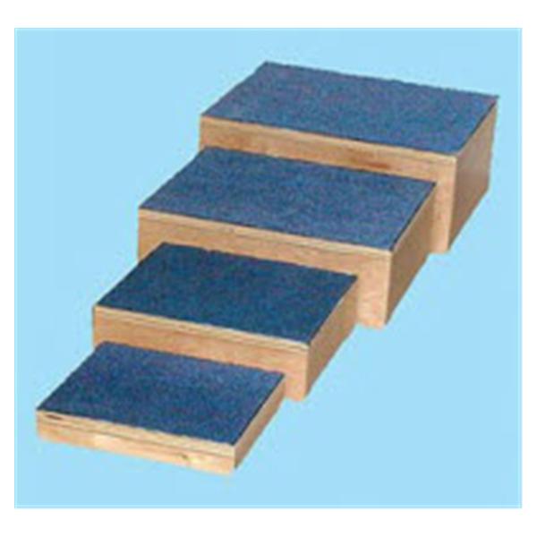 Mobility Transfer Step Therapy Wood/Carpet Ea