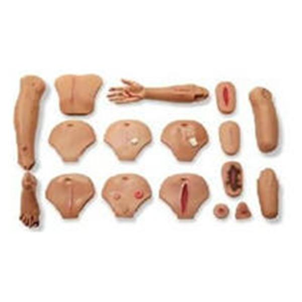 Laerdal Medical  Assessment Set Wound Care Male Ea