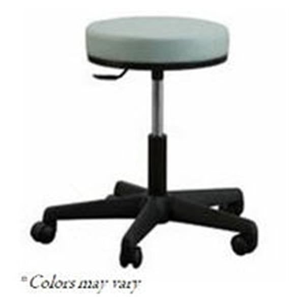 Oakworks Stool Exam Premium Pewter 5 Leg/Casters Backless Ea