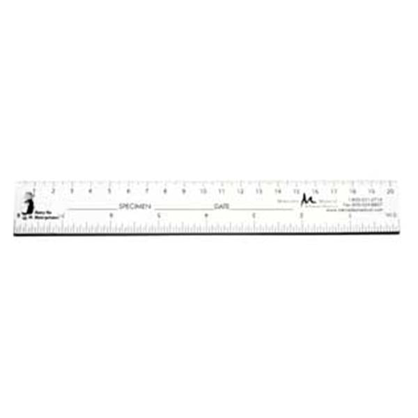 Mercedes Medical Specimen/ Date Fields Ruler Paper 250/Pk