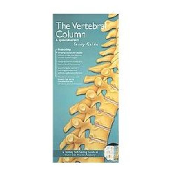 Wolters Kluwer Health  Chart Anatomical Vertebral Column & Spine 8-1/2x11" Ea