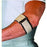 Scott Specialties Tennis Elbow Wrap with Loop Lock Closure Universal 