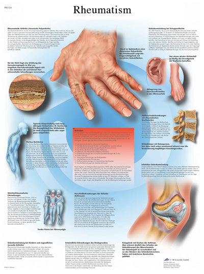 FEI Anatomical Laminated Chart