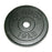 Fabrication Enterprises Plate Weight CanDo 10lb Black Iron Ea