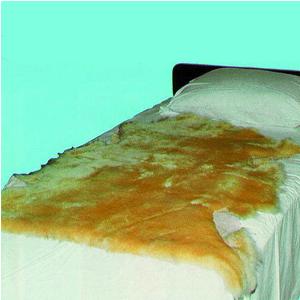 Sheepskin Pad