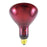 175 watt Ruby Bulb