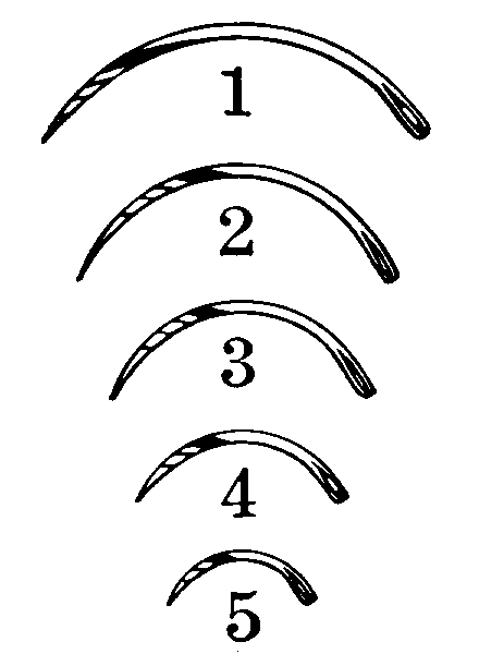 Anchor Products Lanes Cleft Palate Needles - Reverse Cutting Suture Needle with 3/8 Circle, Nonsterile - 1848-5R