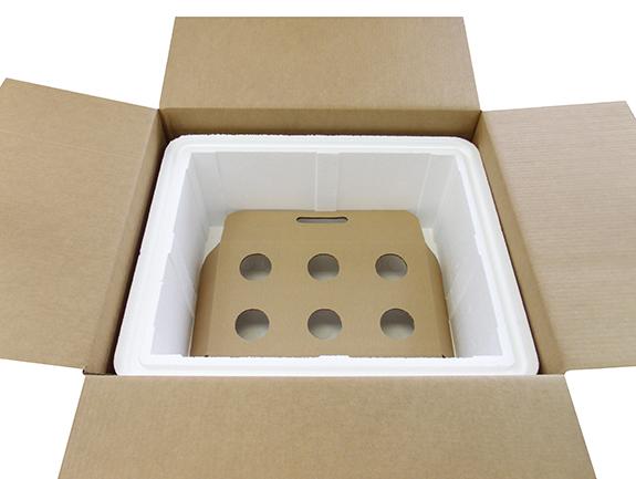 Cold Chain KoolTemp EPS Molded Insulated Container - SHIPPER, ASSEMBLY, EPS, SET UP, 10X8X9-3/4 - KT39