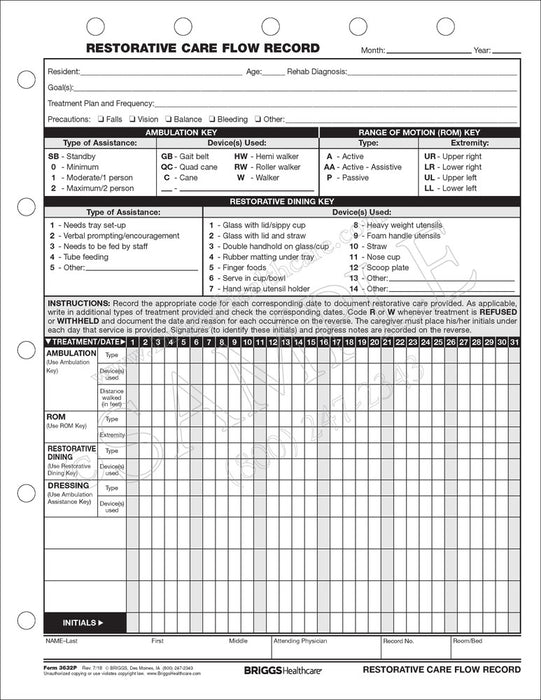 Briggs Corp Restorative Care Flow Record - Restorative Nurses Form, Care Flow - 3632P