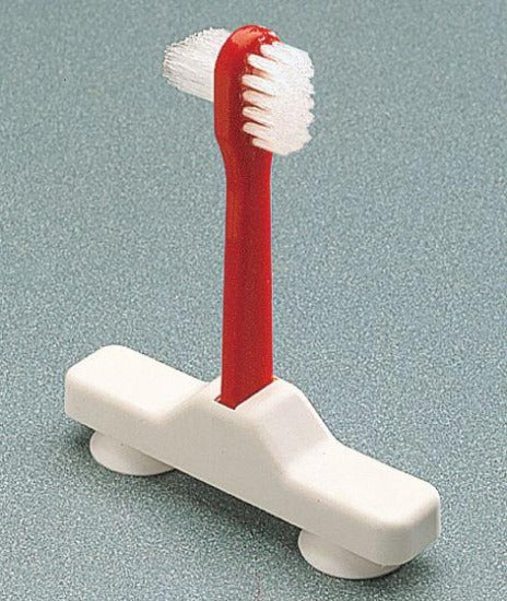 Denture Brush