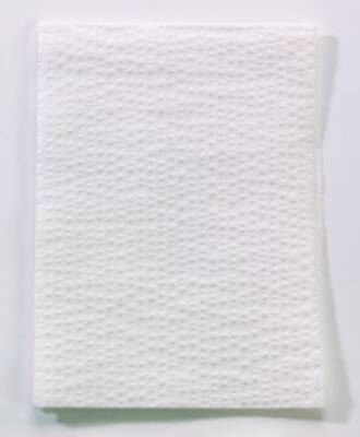 Banta Healthcare Food Service Aprons - APRON, WHITE, REGULAR - 10418