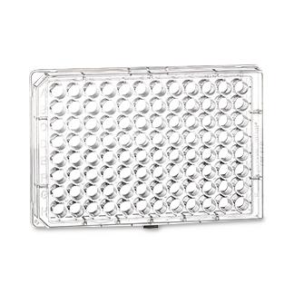 Greiner Bio One Microlon 600 High Binding Microplates - Microlon 600 96-Well Microplate, Flat Bottom, Clear - 655061