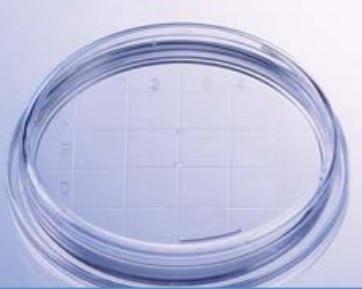 Greiner Bio-One Petri Dishes - Petri Dish, Polystyrene, Sterile, Multiple Vent, 100 mm x 20 mm - 664161