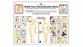 Alimed Health Care Cmmncation Boards - Health Care Communication Board - 82436