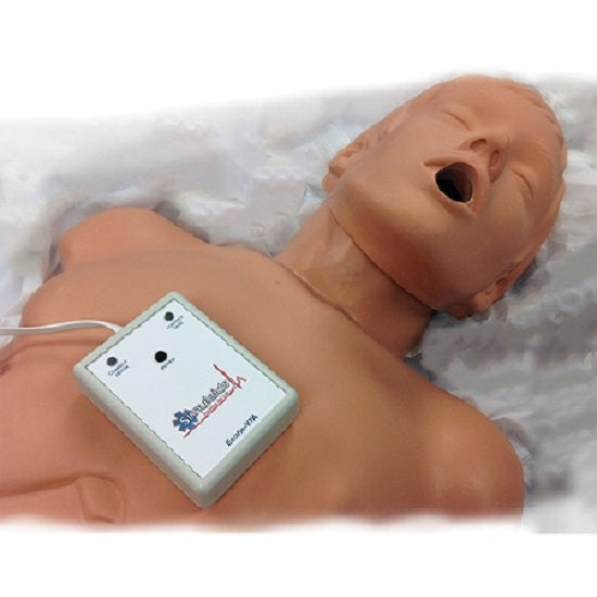 Simulaids Econo VTA CPR Trainer - Econo VTA CPR Trainer, Light - 100-2160