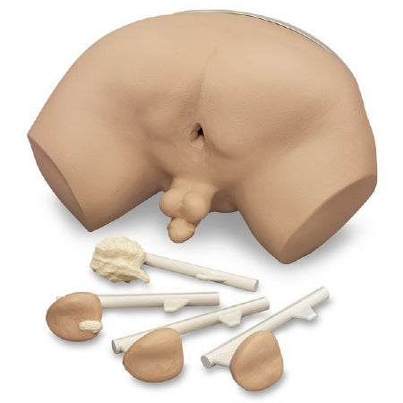 Nasco Life / form Prostrate Examination Simulator - Life / form Prostate Examination Simulator - LF00901U