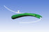 NJR Introducer Suction Catheters - Suction Catheter, Introducer, No Bite - NBV-100