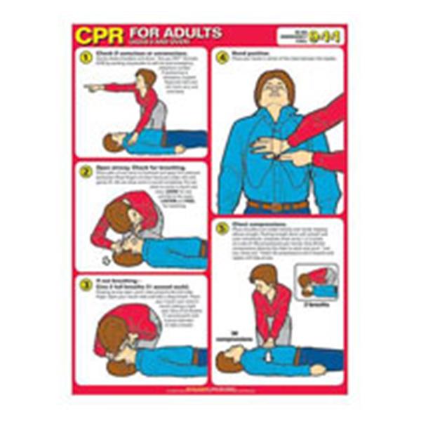 Wolters Kluwer Health  Chart First Aid CPR For Adults 18x24" Ea