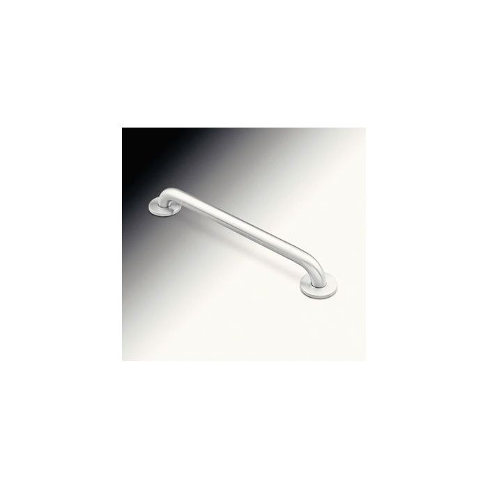 Moen Stainless Steel Finish Grab Bar