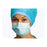 Molnlycke Healthcare (Regent) Face Mask Earloop Barrier Blue 50/Bx, 10 BX/CA (42281-01)