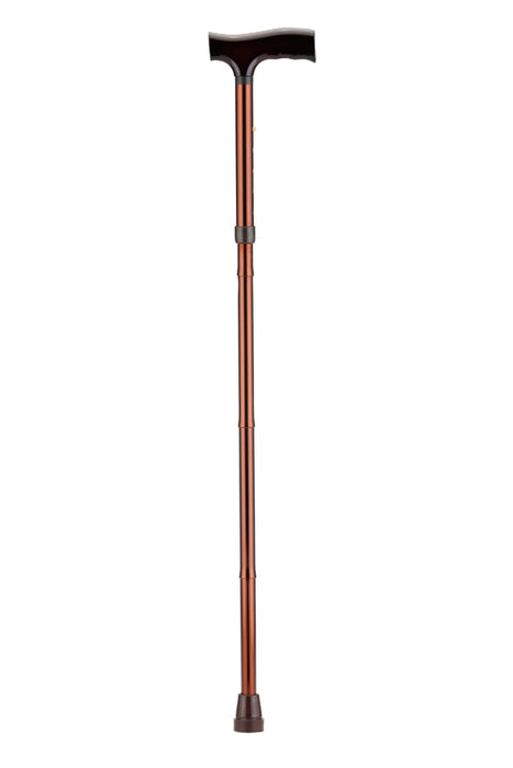 Folding cane bronze