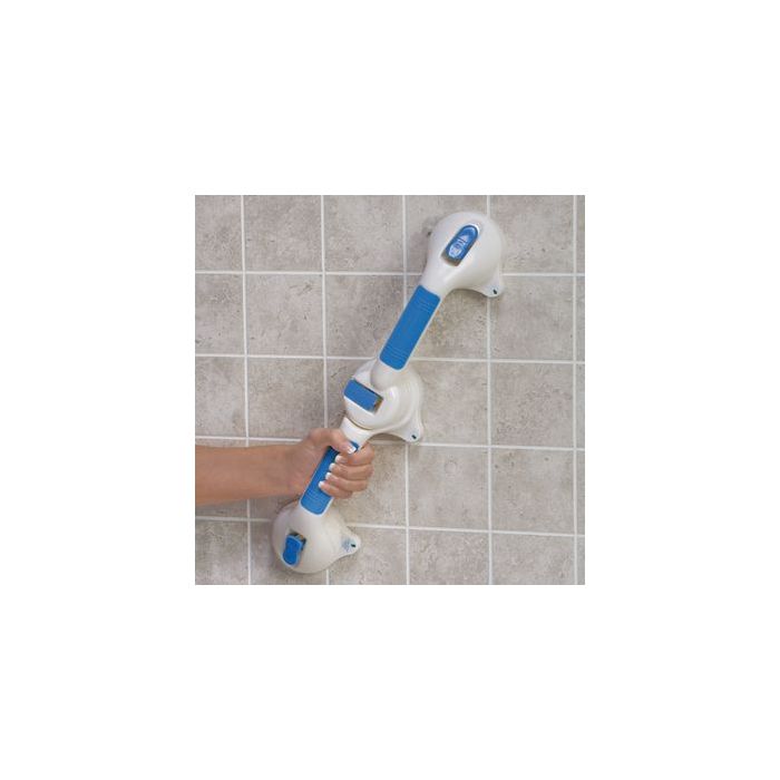 Briggs Suction Grab Bars