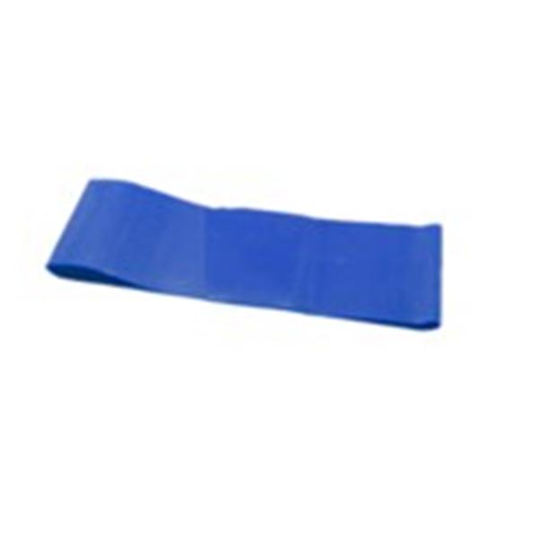 Fabrication Enterprises Loop Band CanDo 10" Blue Heavy Ea