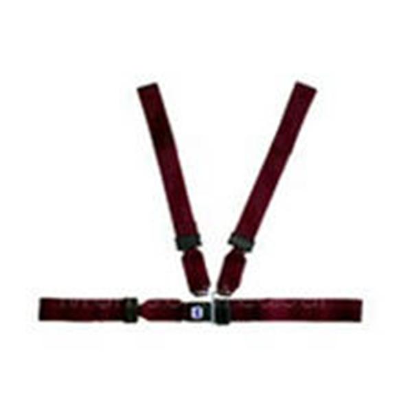 Morrison Medical Product Restraint Strap Patho Ea