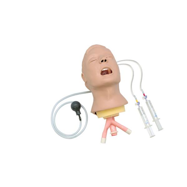 Nasco Company Airway Head Training Life/form Advanced Larry Ea