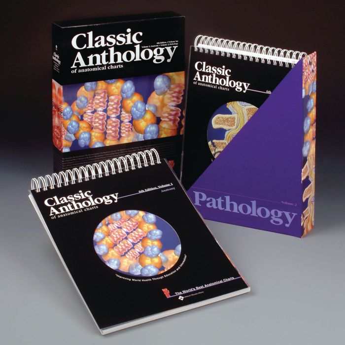 Patterson Medical Anatomical Chart Series