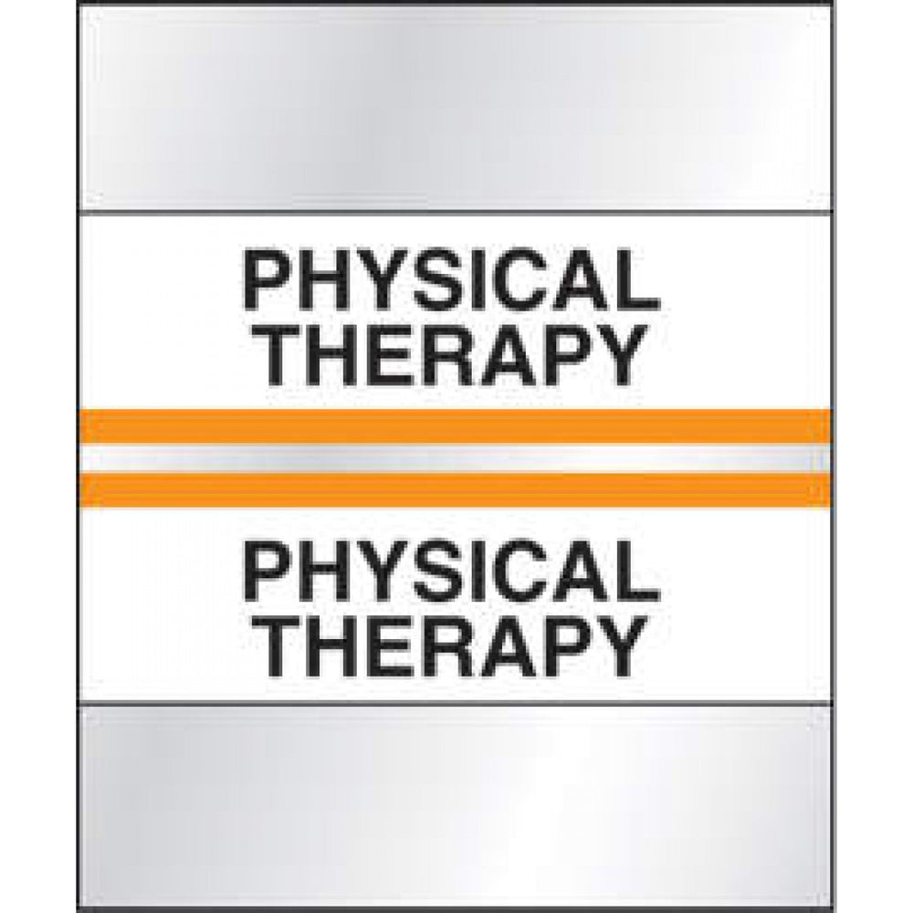 Chart Tab Paper Physical Therapy 1 1/4" X 1 1/2" Orange 100 Per Package