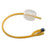 Foley Catheter