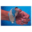 Chesapeake Medical Material Splinting Colours Hand Light Blue 18x24" 1/8" Thick Ea (CM266-1)