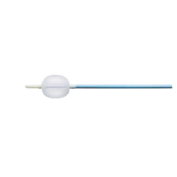 Edward's Lifesciences Catheter Embolectomy Fogarty Arterial Inflated Balloon Blu 6Fr Ea