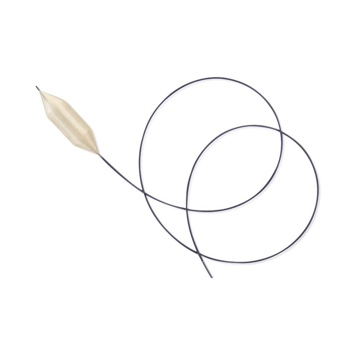 CR Bard Atlas PTA Balloon Dilatation Catheters - Atlas PTA Balloon Dilatation Catheter, 14 mm x 20 mm Balloon, 75 cm Shaft, 7 Fr Sheath - AT75142