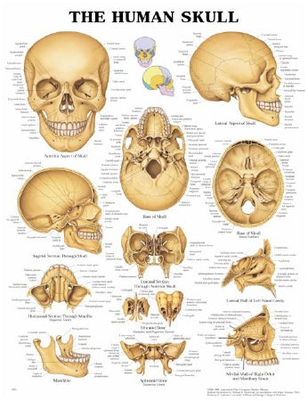 Reference Materials