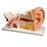 American 3B Ear 3 Times Life Size 4 Part - Ear Model, 3 Times Life Size, 4-Part - E10