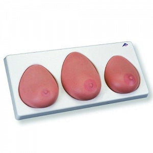 3B Scientific Breast Exam Model - MODEL, BREAST EXAM, 3 PIECE - L55 [1000344]